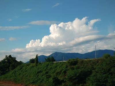IMG_23